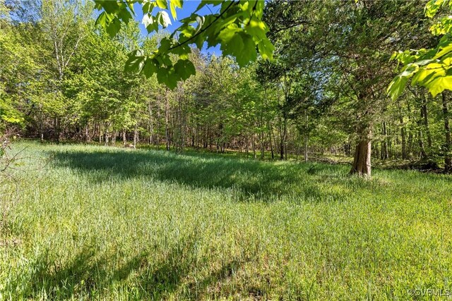 12421 Campbell Rd, Orange, VA 22960 - view of yard with a forest view