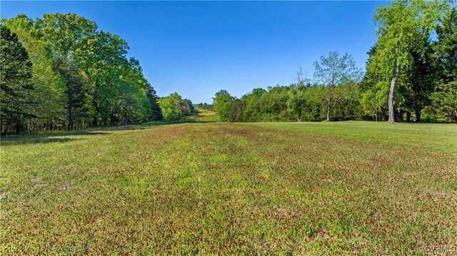 12421 Campbell Rd, Orange, VA 22960 - view of yard featuring a forest view