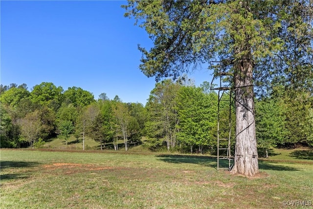 12421 Campbell Rd, Orange, VA 22960 - view of yard with a wooded view