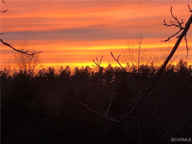 12421 Campbell Rd, Orange, VA 22960 - view of local wilderness
