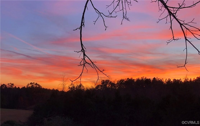 12421 Campbell Rd, Orange, VA 22960 - view of nature at dusk