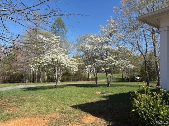 12421 Campbell Rd, Orange, VA 22960 - view of yard