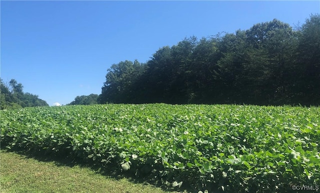 12421 Campbell Rd, Orange, VA 22960 - view of nature with a rural view