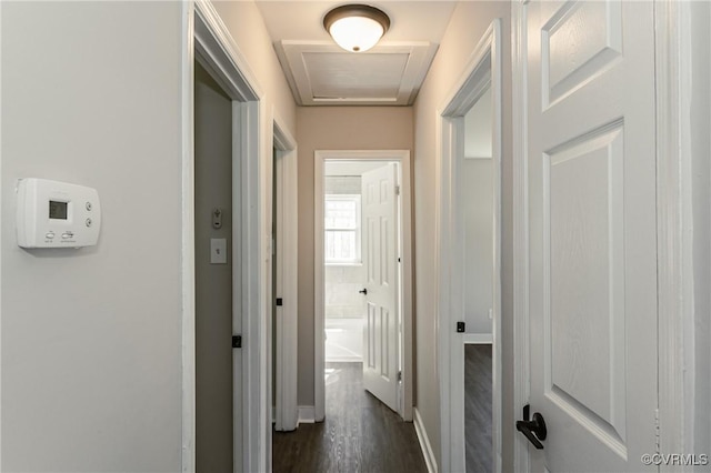 hall with baseboards, attic access, and dark wood finished floors
