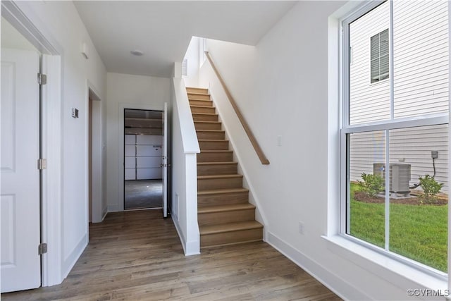 15393 Sunray Aly, Chesterfield, VA 23832 - photo 6