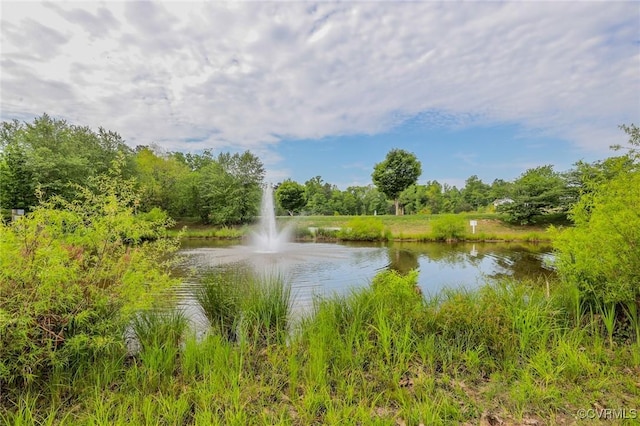 view of water feature