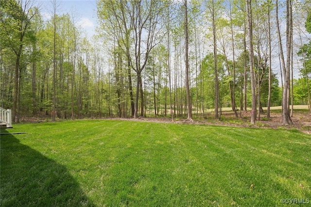 view of yard