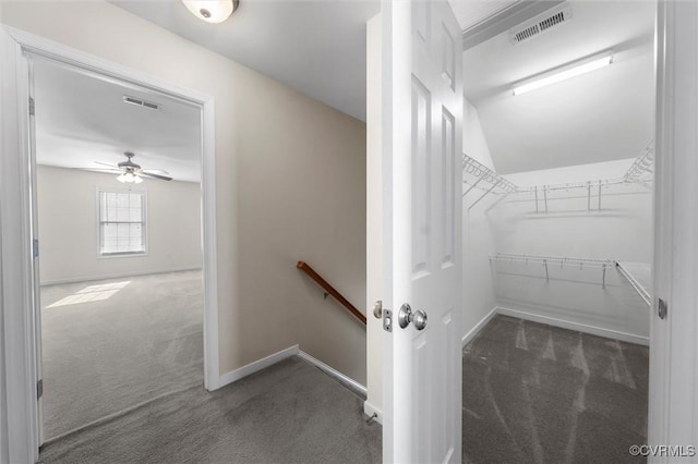 spacious closet featuring carpet, lofted ceiling, and ceiling fan