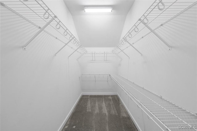 spacious closet with carpet