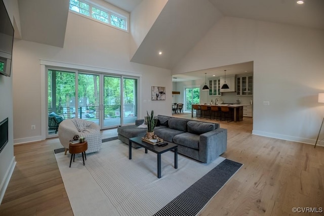 4629 Butte Rd, Richmond, VA 23235 - living area with high vaulted ceiling, healthy amount of natural light, baseboards, light wood-style floors, and recessed lighting