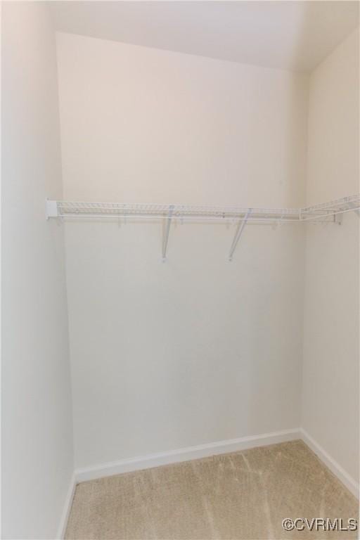 spacious closet with light colored carpet