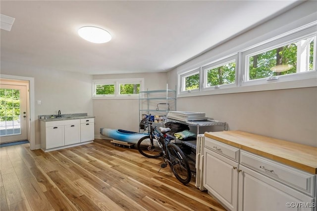 rec room featuring light wood-style floors and a wealth of natural light