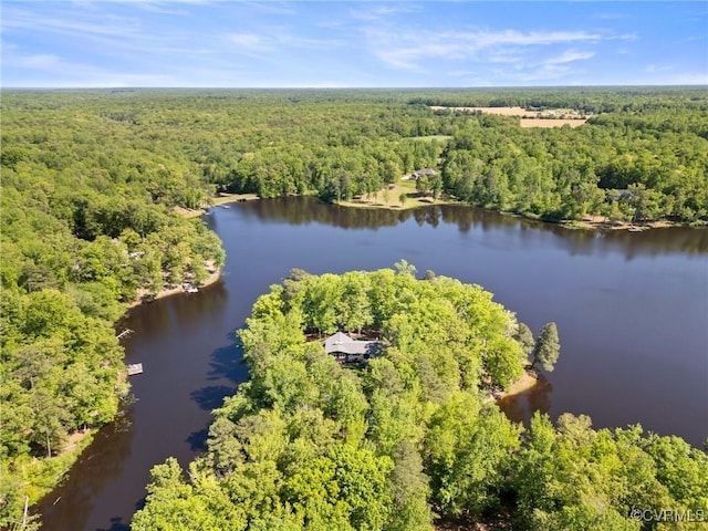 bird's eye view with a water view and a forest view