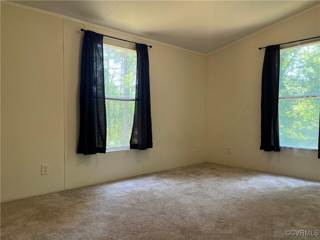 23550 Cutbank Rd, Mc Kenney, VA 23872 - photo 16