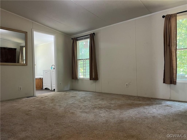 23550 Cutbank Rd, Mc Kenney, VA 23872 - photo 10