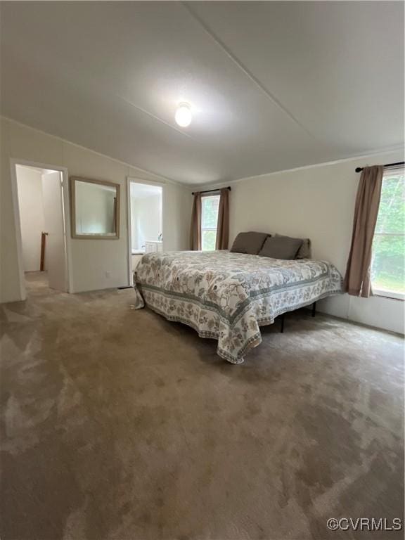 23550 Cutbank Rd, Mc Kenney, VA 23872 - photo 9