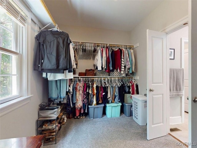 walk in closet featuring carpet floors