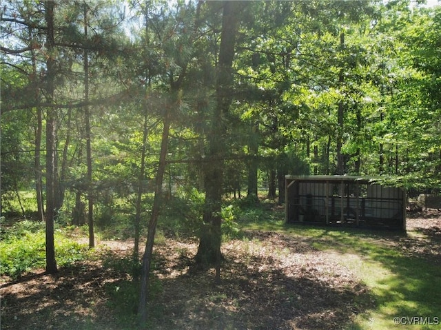 view of yard with a view of trees and an outbuilding