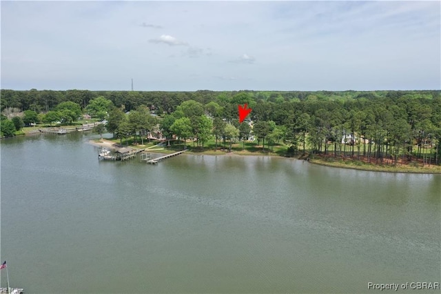 property view of water with a view of trees