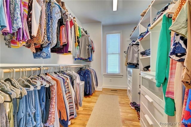 walk in closet featuring wood finished floors