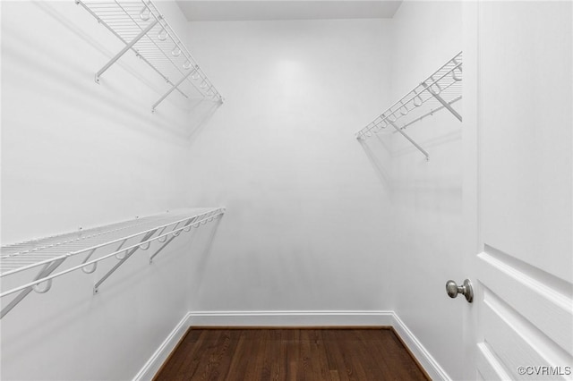walk in closet featuring dark wood-style floors