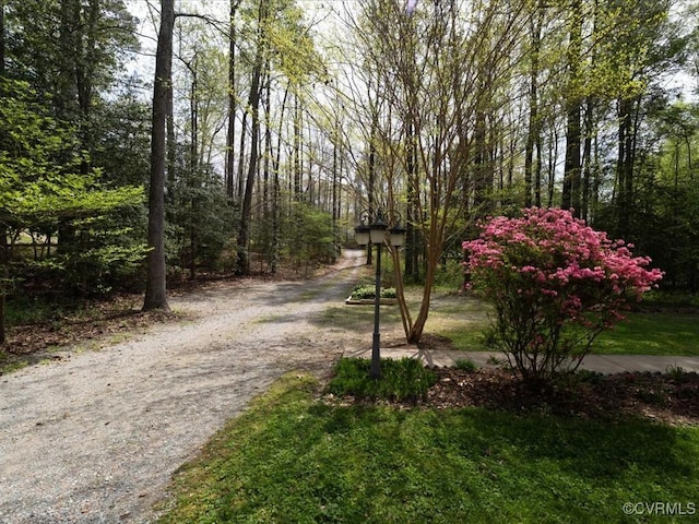2004 Westwood Ct, Powhatan, VA 23139 - view of dirt / gravel driveway