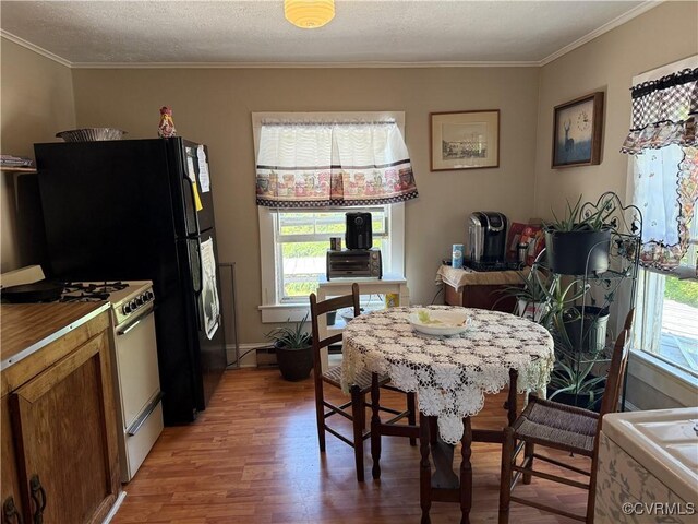 4615 Abilene Rd, Charlotte Courthouse, VA 23923 - photo 16