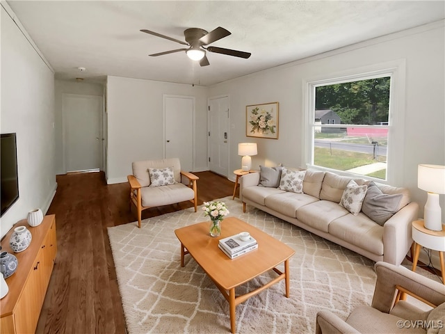 living area with ceiling fan and light wood-style flooring