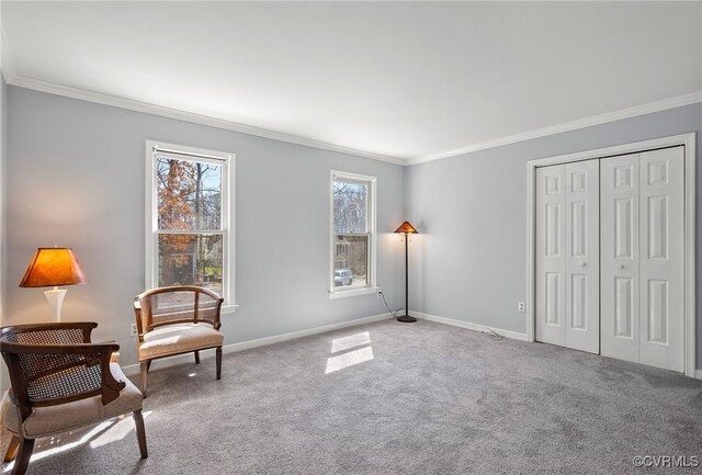 living area with crown molding, baseboards, and carpet flooring