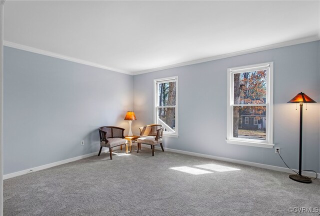 sitting room with crown molding, baseboards, and carpet floors
