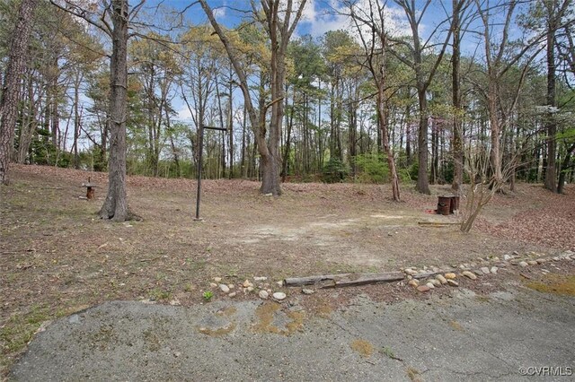 6266 Richmond Rd, Williamsburg, VA 23188 - view of yard