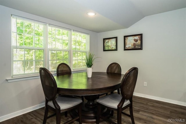 dining room featuring baseboards, lofted ceiling, a healthy amount of sunlight, and dark wood-style floors