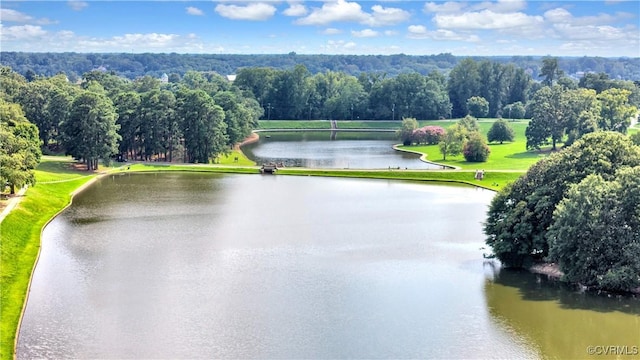 2111 Maplewood Ave, Richmond, VA 23220 - birds eye view of property featuring a water view