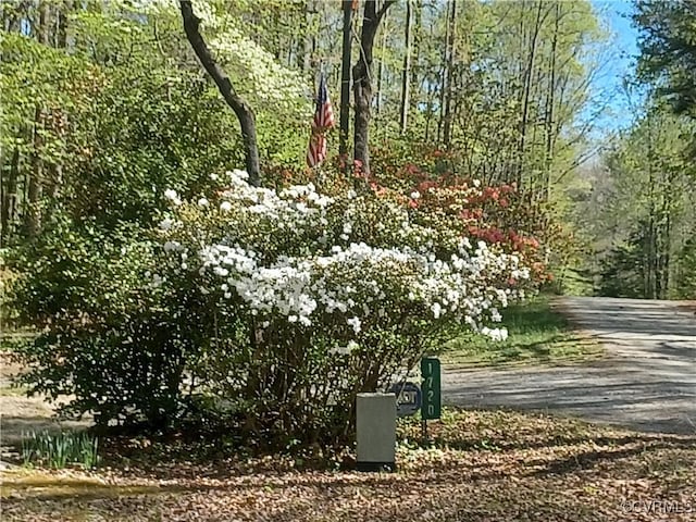1720 Linda Carol Dr, Powhatan, VA 23139 - view of surrounding community