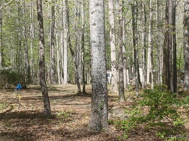 1720 Linda Carol Dr, Powhatan, VA 23139 - view of nature