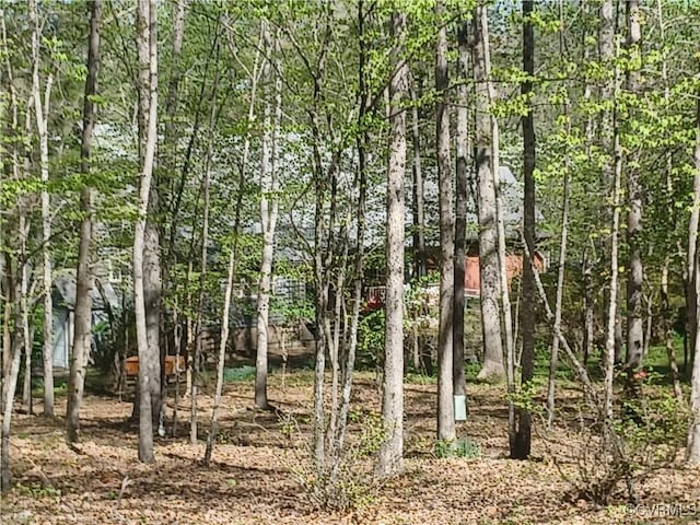 1720 Linda Carol Dr, Powhatan, VA 23139 - view of local wilderness
