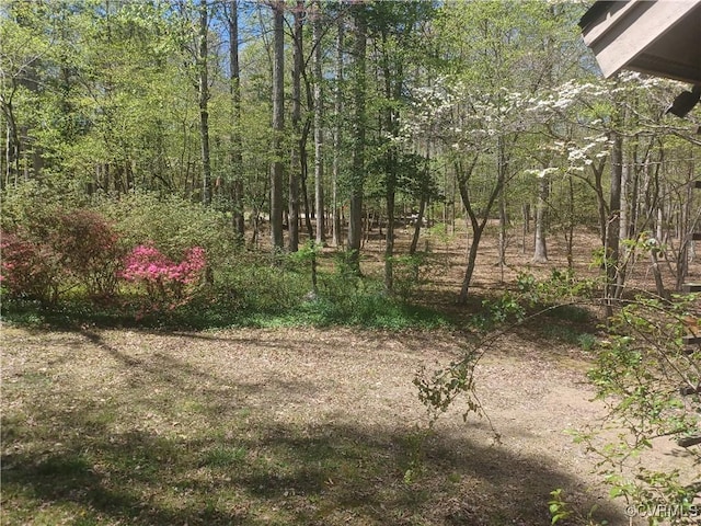 1720 Linda Carol Dr, Powhatan, VA 23139 - view of local wilderness