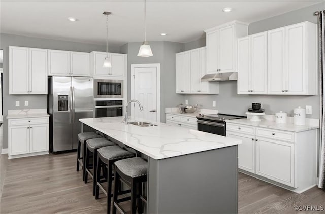 3 Abercrombie Dr, Chesterfield, VA 23838 - kitchen with appliances with stainless steel finishes, under cabinet range hood, a sink, wood finished floors, and a center island with sink