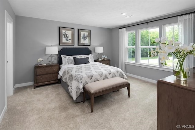 6 Abercrombie Dr, Chesterfield, VA 23838 - bedroom with baseboards and light carpet