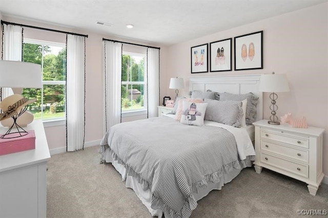 6 Abercrombie Dr, Chesterfield, VA 23838 - bedroom with light carpet and baseboards