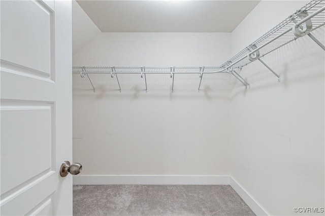 walk in closet featuring carpet flooring
