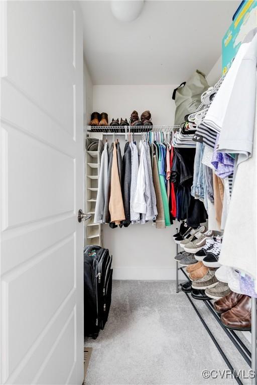 spacious closet with carpet