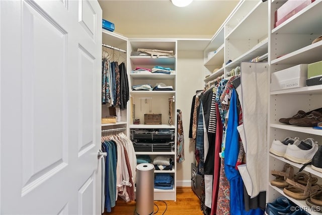 walk in closet featuring wood finished floors
