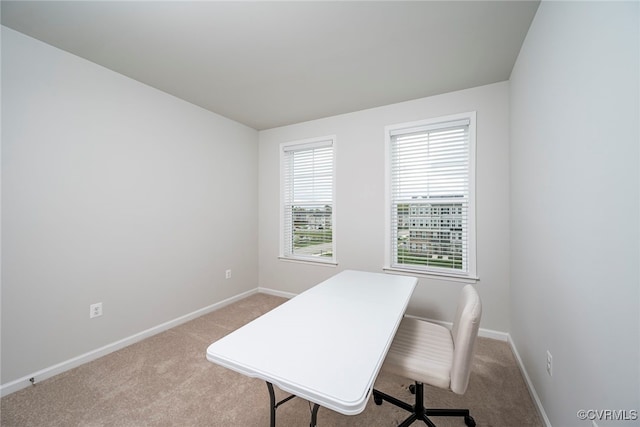 office with baseboards and carpet
