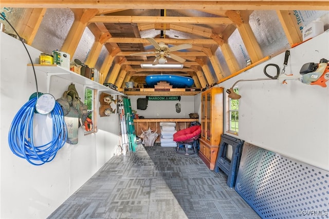 storage with a ceiling fan