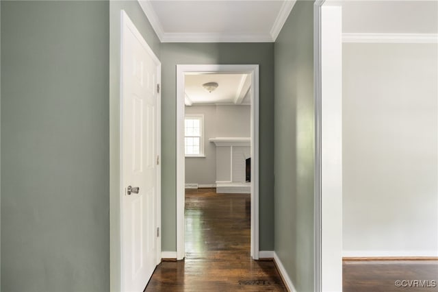 hall with baseboards, dark wood finished floors, and ornamental molding