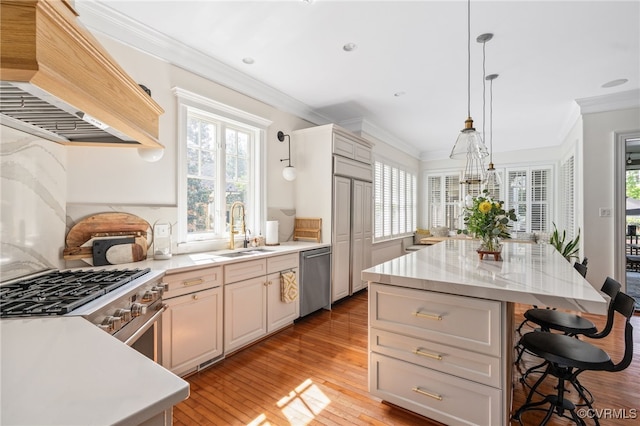 kitchen featuring custom range hood, stainless steel appliances, a sink, a kitchen bar, and healthy amount of natural light
