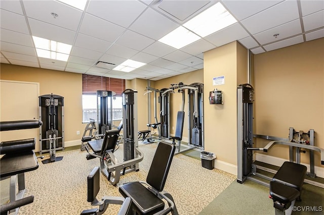 workout area featuring carpet floors, baseboards, and a drop ceiling