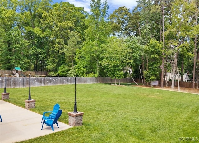 view of yard featuring a fenced backyard and a patio area