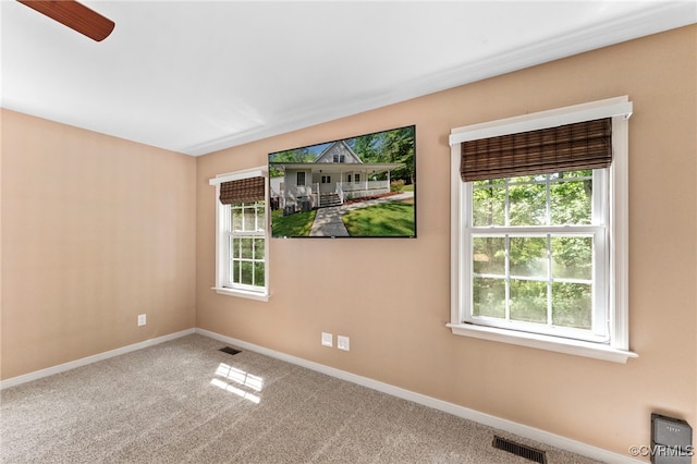 15019 Blayton Ln, Lanexa, VA 23089 - photo 21